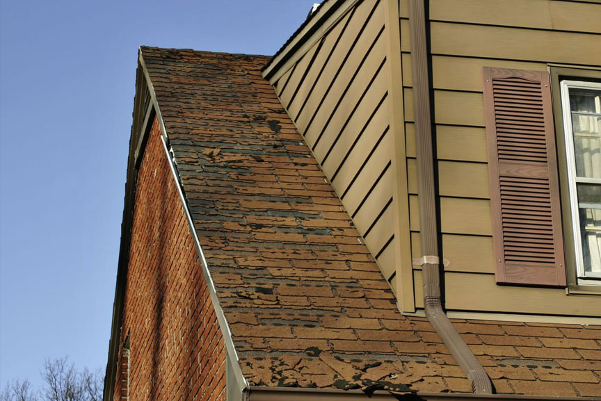 Won Day Website in a Day for HVAC, Electricians, Roofers, Plumbers and More